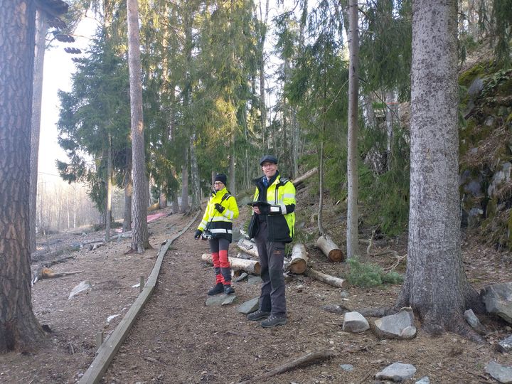 arboristit tarkistamassa puiden kuntoa