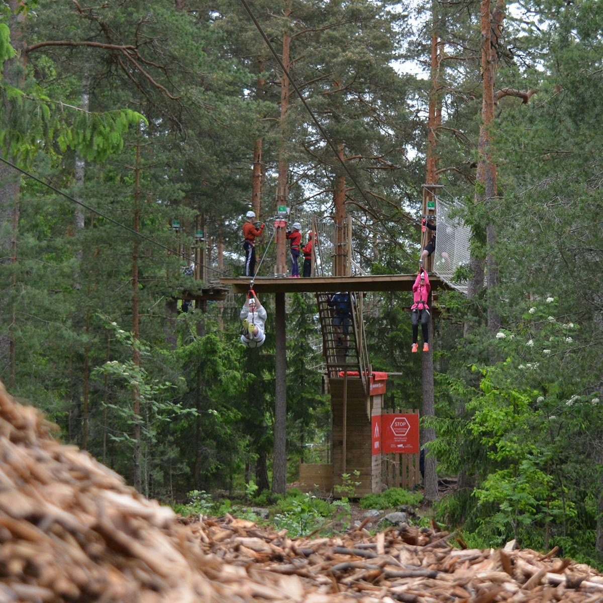 Seikkailupuisto Huipussa voi liukua rinnakkain vaikka kilpaa, jos siltä tuntuu.