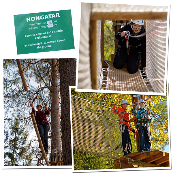 kuvia Huipun vihrea alarata Hongatar